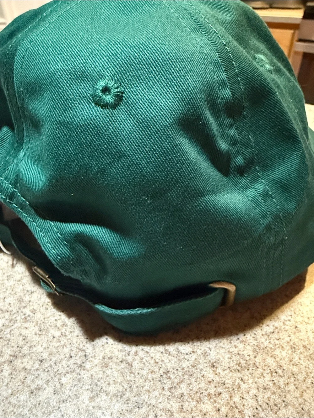 Morning Person Embroidered Green Baseball Cap AG1, NWT
